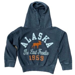 Alaska The Last Frontier 1959 kids hoodie orange moose graphic
Toddler Size 2/4